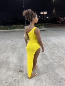 escortes premium niger
